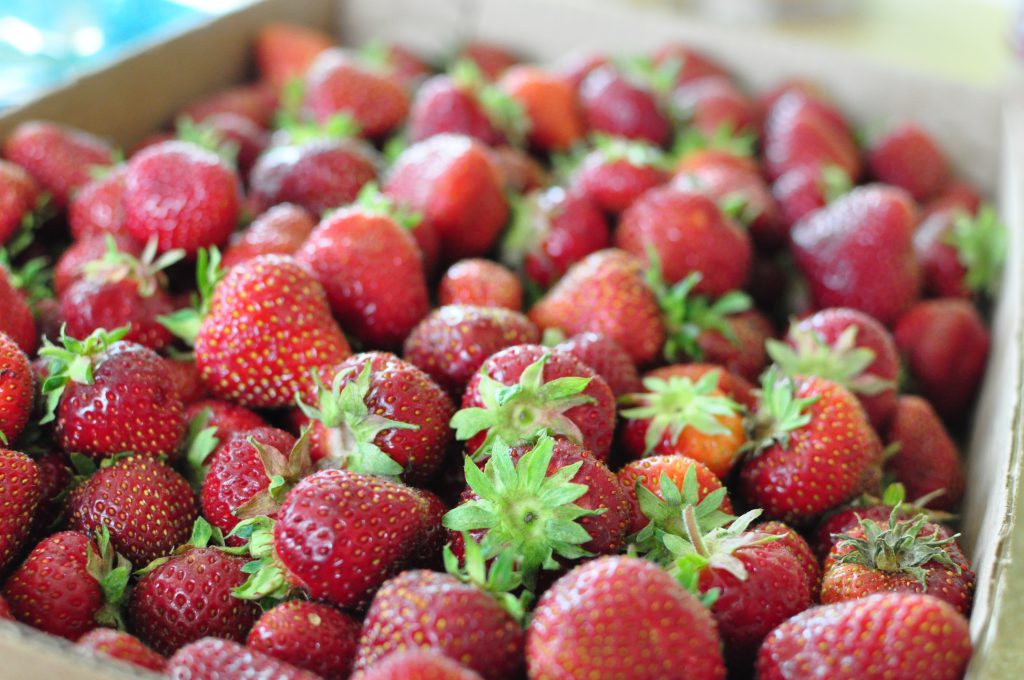 Cheesecake Filled Strawberries