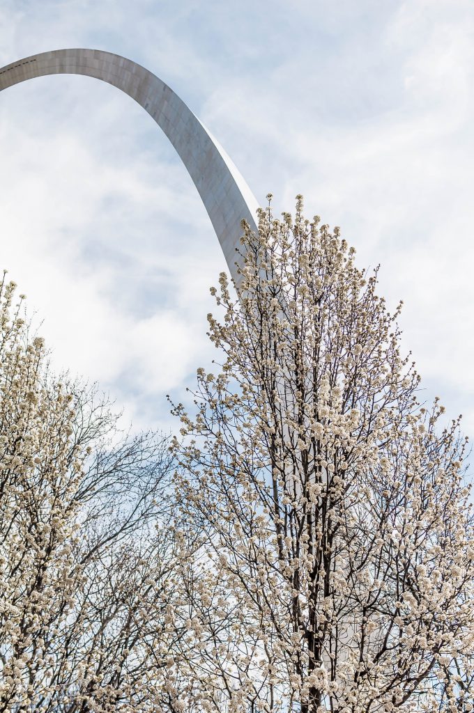 Spring Break in St. Louis