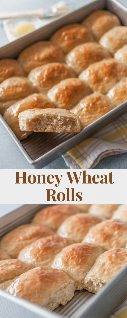 Honey Wheat Rolls