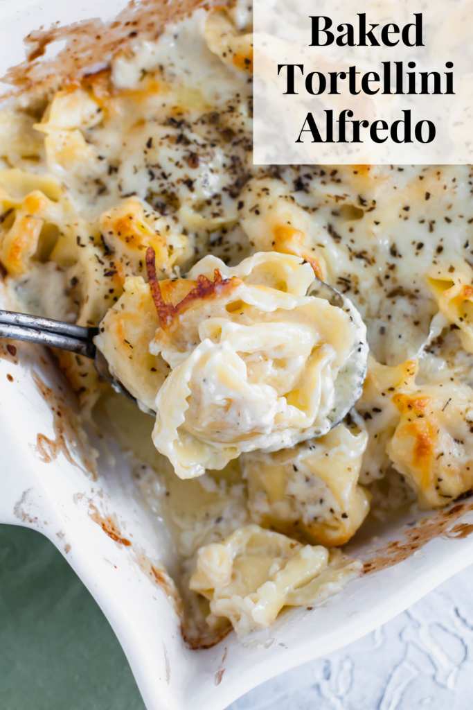 This Baked Tortellini Alfredo is the ultimate comfort food. Cheese tortellini tossed in alfredo sauce, topped with mozzarella and baked to perfection.