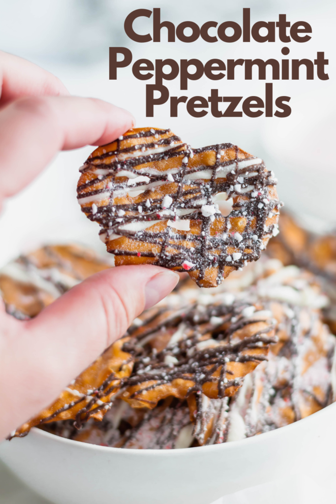 Looking for a delicious sweet and salty treat this holiday season? These Chocolate Peppermint Pretzels are just what you need.