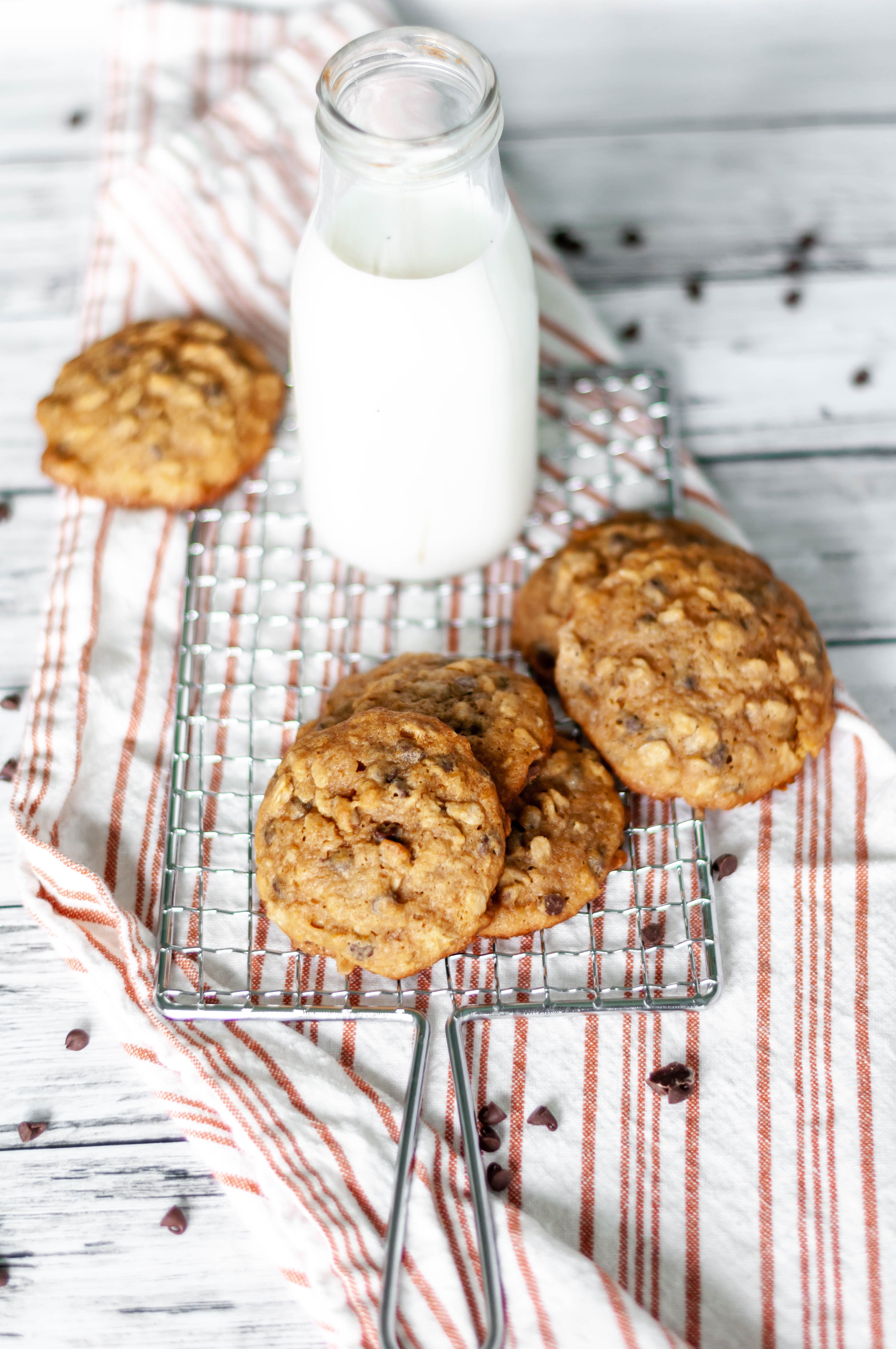 Pumpkin Oatmeal Cookies are super soft and chewy. Filled with warm pumpkin and spices, oatmeal and mini chocolate chips. The perfect fall dessert.
