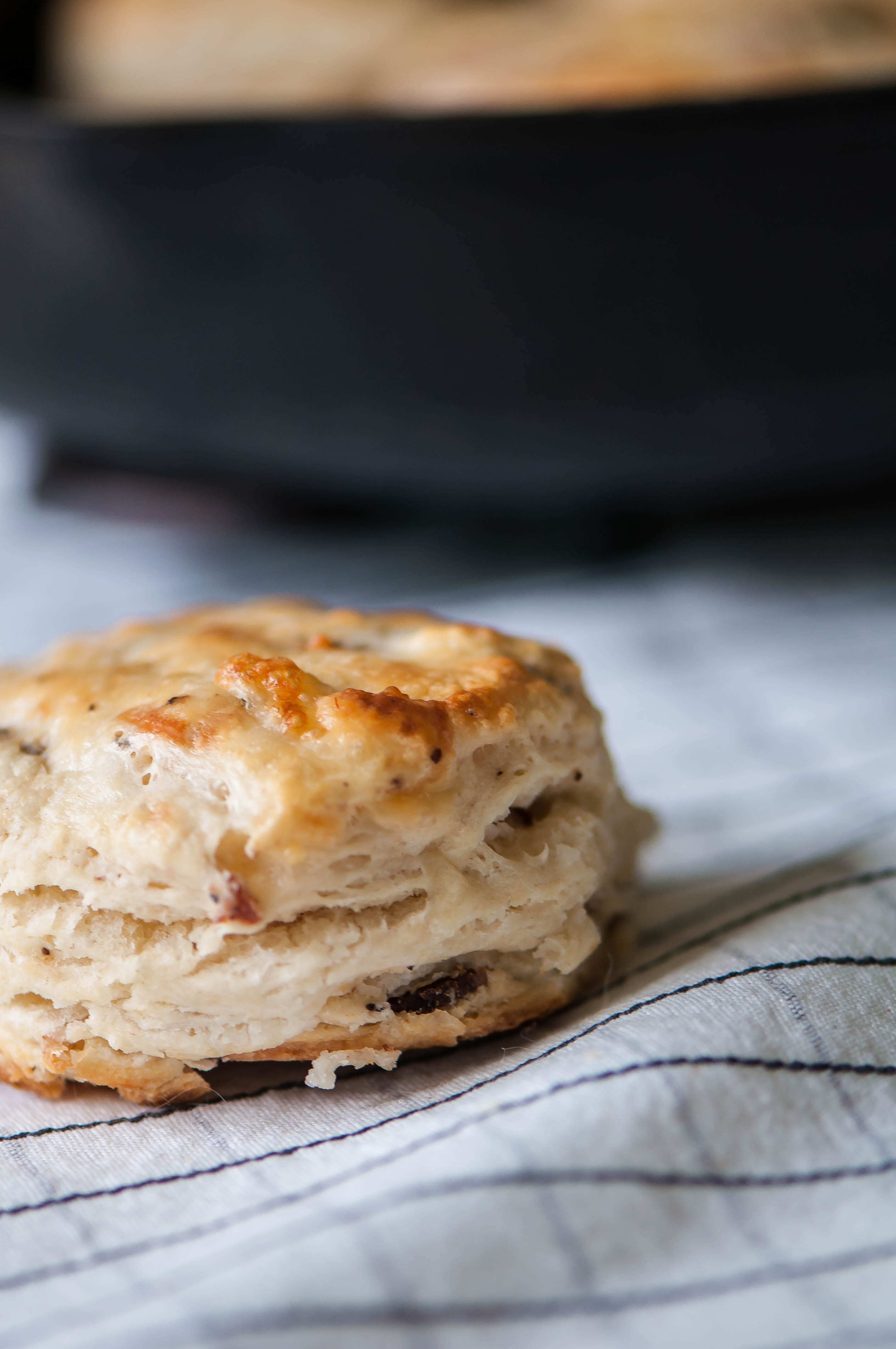 Peppered Bacon Pepper Jack Biscuits