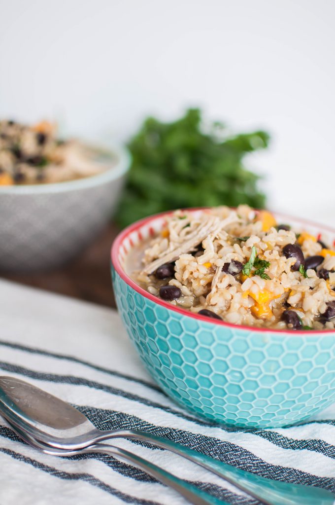 Instant Pot Mexican Chicken Stew