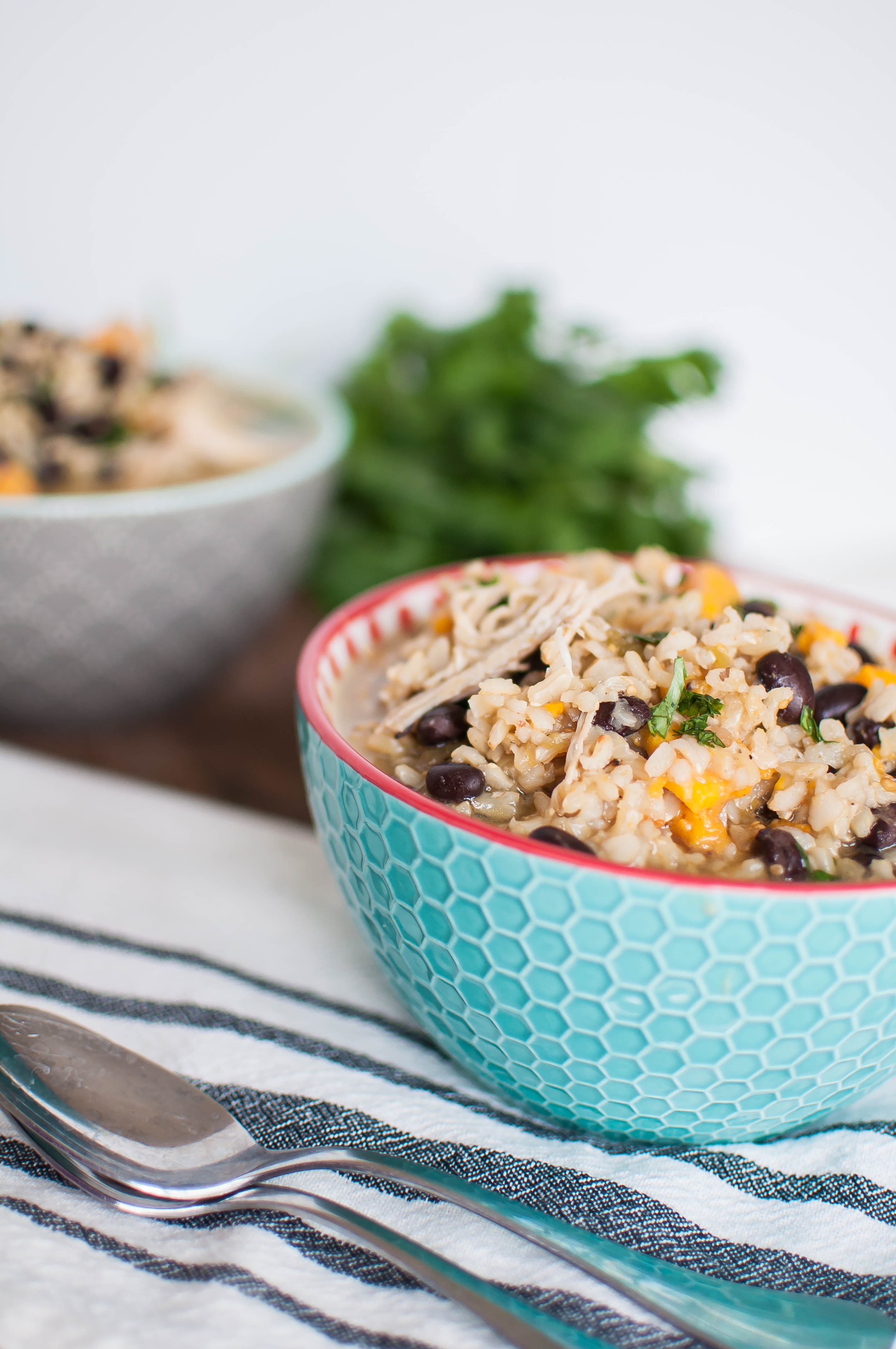 Instant Pot Mexican Chicken Stew