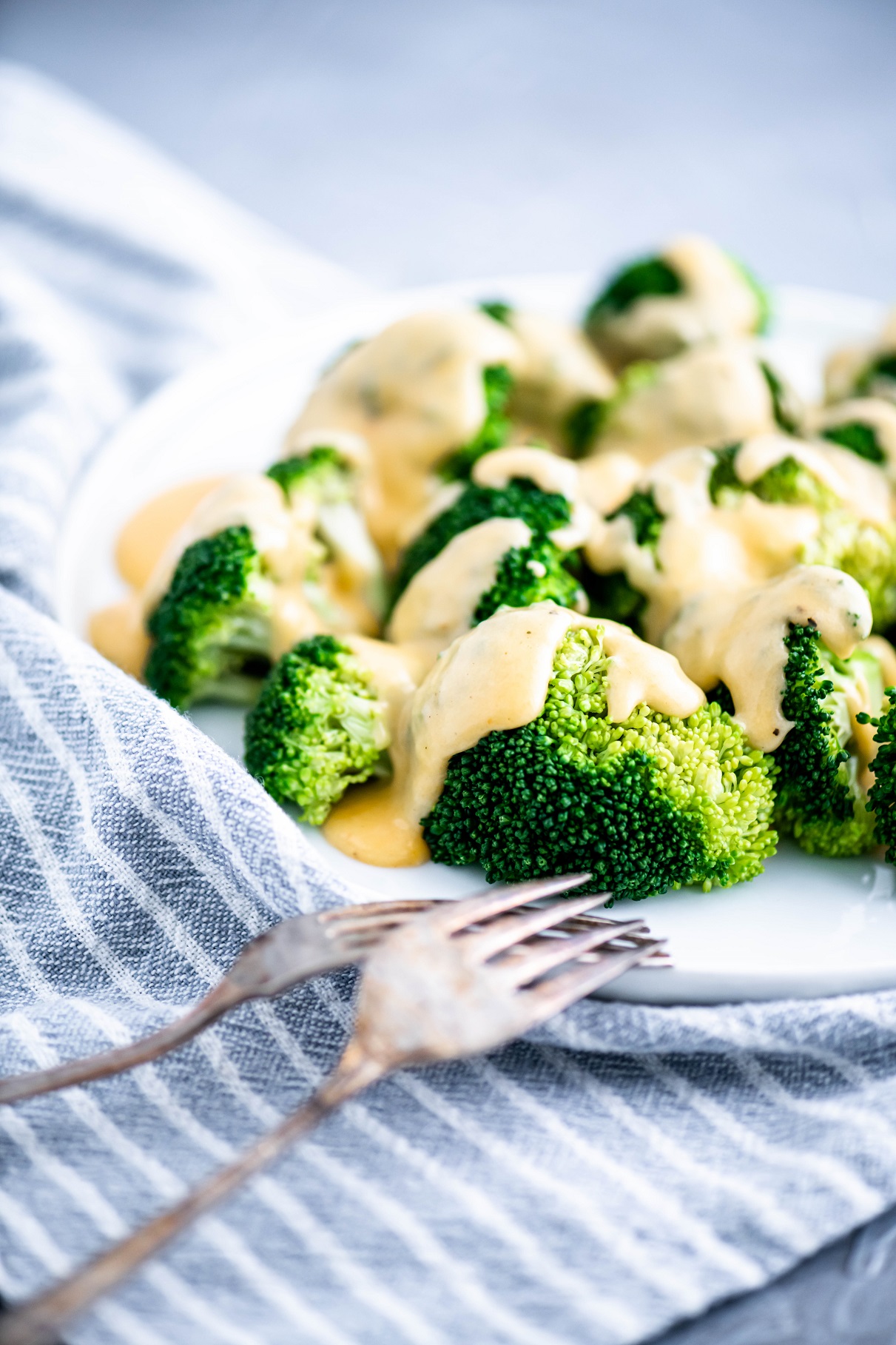 White round plate with fresh steamed broccoli drizzled with cheese sauce.